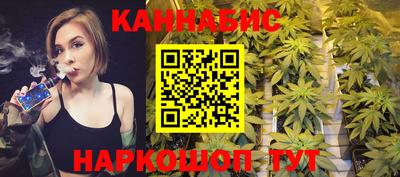 гашик Будённовск