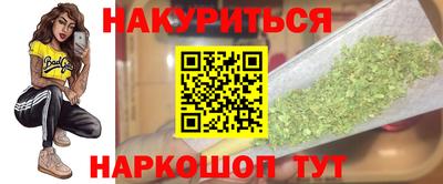 гашик Будённовск
