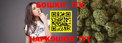 гашик Будённовск