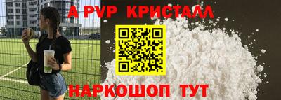 гашик Будённовск