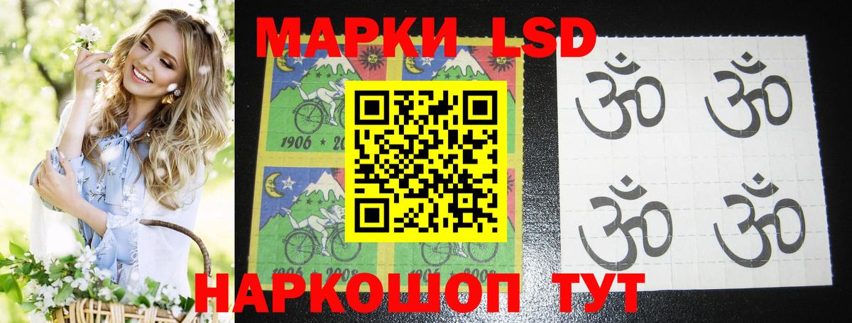 ссылка на мегу вход  LSD-25 экстази ecstasy  Нижнеудинск  Вход с VPN  ЛСД экстази кислота 