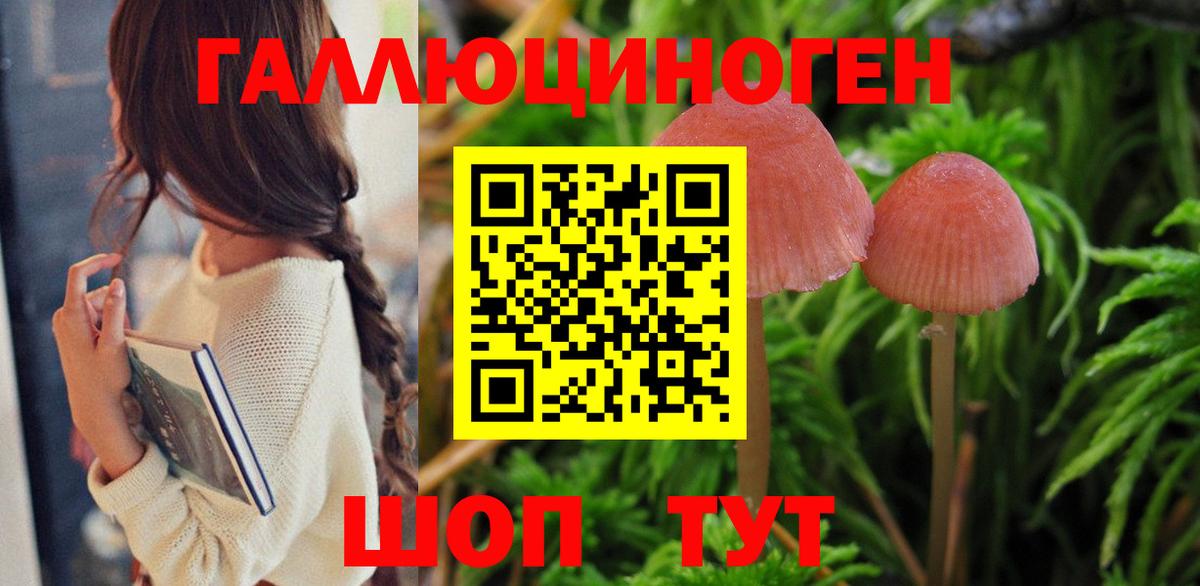 Нижнеудинск  Псилоцибиновые грибы Psilocybe  Вход с VPN  Псилоцибиновые грибы GOLDEN TEACHER 