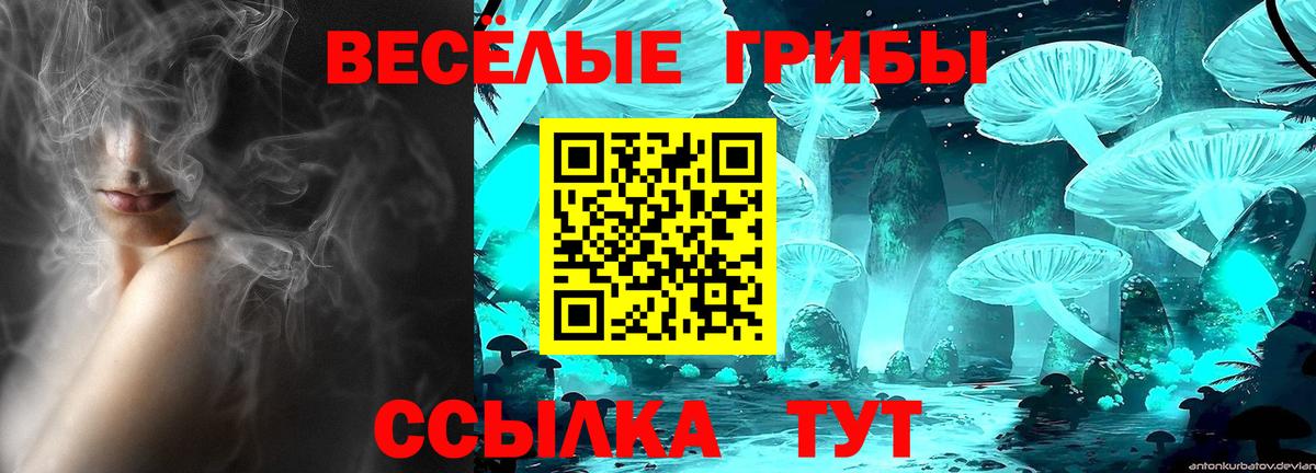 Псилоцибиновые грибы Magic Shrooms Нижнеудинск